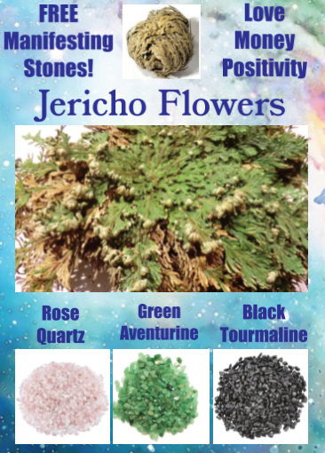 Flowers and Plants